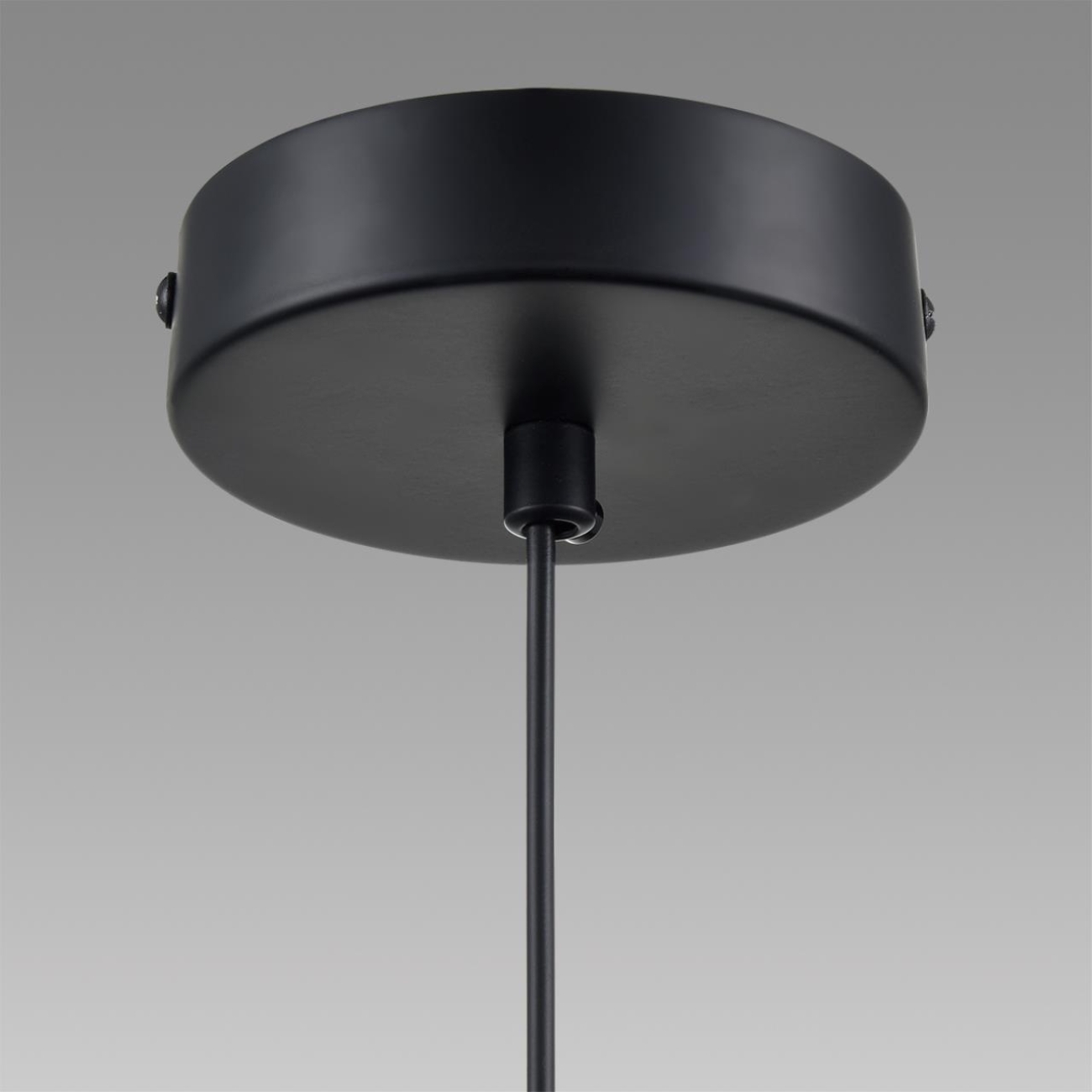 Подвесной светильник Lumion Isha 8101/1A черный/бронза металл/стекло Е14 1*40W 220V — фото 8