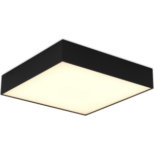 Потолочный светильник светодиодный ST Luce ST608.432.48 Черный LED 1*48W