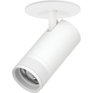 Спот встраиваемый 30W 2100LM 20-55G с адаптером Lightstar Canno Pro C4306RS