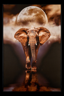 Картина Elephant TD105