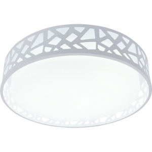 Потолочный светильник светодиодный TopLight Leone TL1205X-72WH