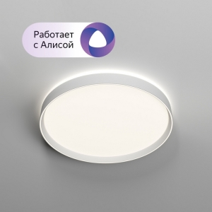 Потолочный светильник Plato DK6511-WH/1