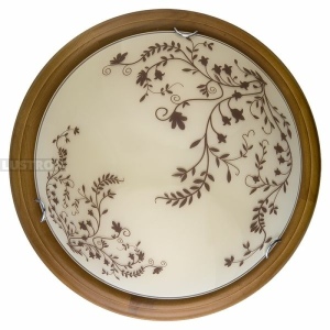 Настенно-потолочный светодиодный светильник TopLight Irene TL9630Y-00OA