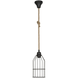 Подвесной светильник TopLight Alfreda TL1601H-01BK