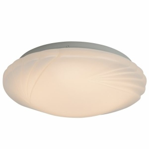 Настенно-потолочный светодиодный светильник Brilliant Fiala G94216/05