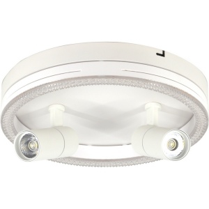 Настенно-потолочный светодиодный светильник Escada 20044LED 20044SMA/03LED WH 43Вт, металл/акрил, белый