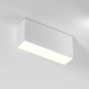 Светильник потолочный светодиодный Elektrostandard Block 25109/LED 10W 3000K белый
