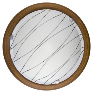 Настенно-потолочный светодиодный светильник TopLight Gabrielle TL9610Y-00OA