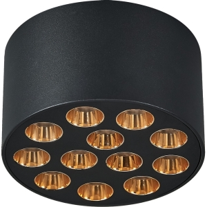 Светильник потолочный Lightstar Guarda 080942 9W 750LM 4000K черный/золото