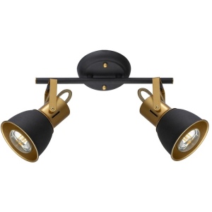 Спот Artelamp Jovi A1677PL-2GO