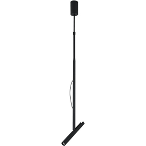 Спот на штанге светодиодный Escada Twig 10275/1LED Black
