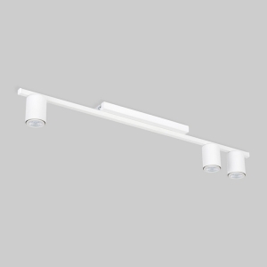 Потолочный светильник (спот) TK Lighting Logan 4570 White