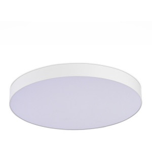 Потолочный светильник ST Luce ST606.542.96