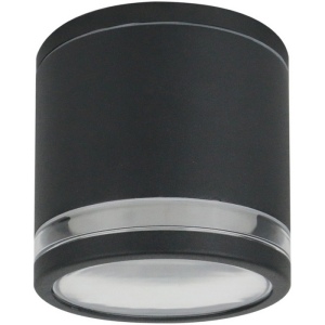 Потолочный уличный светильник Arte Lamp Nunki A1910PF-1BK