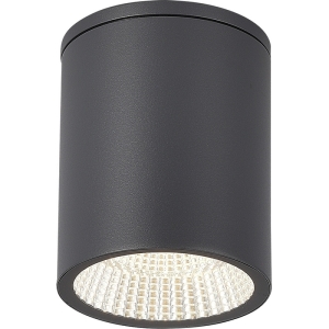 Потолочный уличный светильник IP65 ST-Luce Tubo SL9514.712.01 серый/белый LED 1*12W