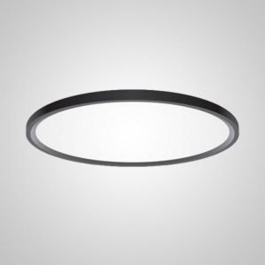 Потолочный светильник Extraslim D80 Black Imperiumloft Extraslim001 (212745-26)