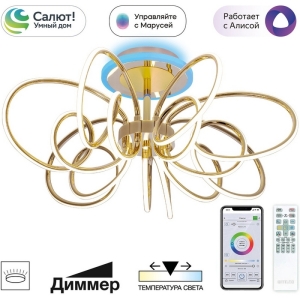 CL224A172 SALMA Смарт Золото Люстра