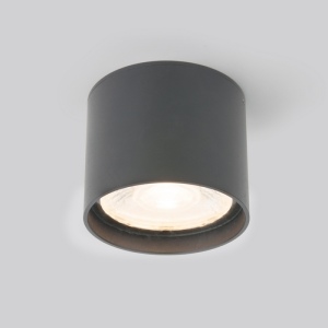 Потолочный светильник уличный светодиодный Light LED 35132/H IP54 серый