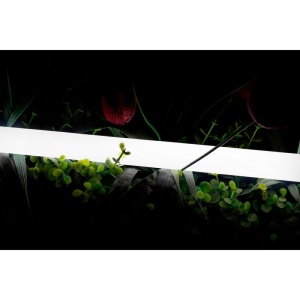 Гибкий неон SWG 360 SWG-2360-24-NW-66