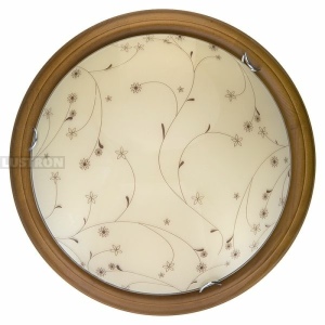Настенно-потолочный светодиодный светильник TopLight Karissa TL9650Y-00OA