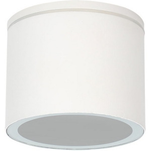 Потолочный светильник уличный Arte Lamp Piautos A1913PF-1WH