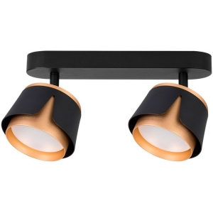 Спот Arte Lamp Amaks A8028PL-2BK