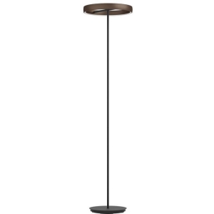 Торшер светодиодный Eglo Trabuco 390452 с регулировкой цветовой температуры 2X19W LED 2200-6500K, 4800lm, алюминий, сталь, черный, коричневый, белый