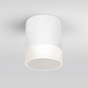 Потолочный светильник уличный светодиодный Light LED 35140/H белый