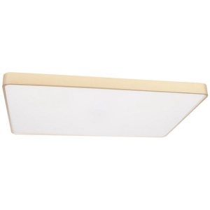 Потолочные светильники Loft It Flims 10228/E