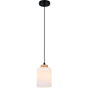 Подвесной светильник Escada Spirit ES0000015 160002/A/1P E27*60W Black