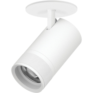 Спот встраиваемый 40W 2800LM 20-55G с адаптером Lightstar Canno Pro C4406RS