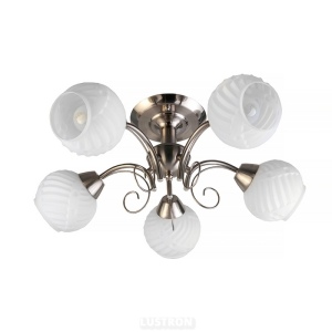 Потолочная люстра TopLight Dana TL3560X-05SN