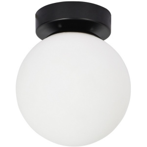 Настенно-потолочный светильник Arte Lamp Alcor A2224PL-1BK