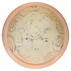 Настенно-потолочный светодиодный светильник TopLight Flora TL9600Y-00PN