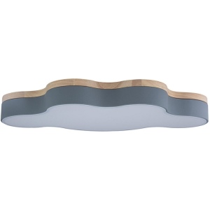 Потолочный светильник светодиодный для детской Axel 10005/36 Grey