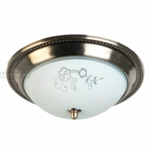 Потолочный светильник TopLight Molly TL5020Y-02AB