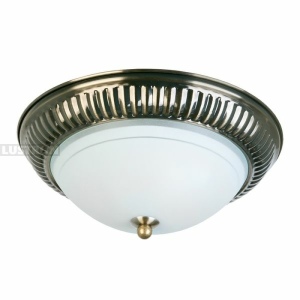 Потолочный светильник TopLight Dora TL5040Y-02AB