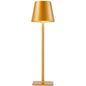 Настольная лампа F-Promo Pyari 4616-1T