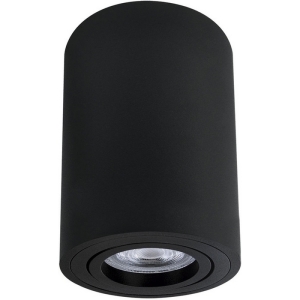 Накладной потолочный светильник Arte Lamp Sentry A1566PL-1BK