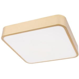 Потолочные светильники Loft It Flims 10228/C