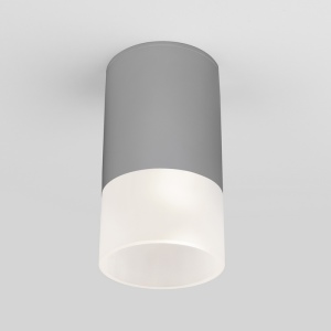 Потолочный светильник уличный светодиодный Light LED 35139/H серый