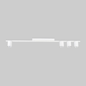 Потолочный светильник (спот) TK Lighting Logan 4571 White