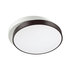 Потолочный светильник светодиодный с пультом Lumion Agatha 4509/72CL