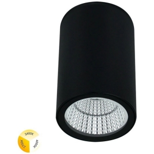 Уличный потолочный светильник Arte Lamp Torcular A1307PF-1BK