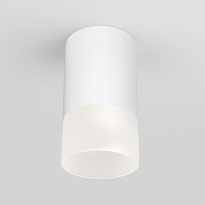 Потолочный светильник уличный светодиодный Light LED 35139/H белый