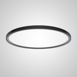 Потолочный светильник Extraslim D100 Black Imperiumloft Extraslim001 (212746-26)
