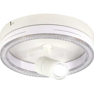 Настенно-потолочный светодиодный светильник Escada 20044LED 20044SMA/02LED WH 30Вт, металл/акрил, белый