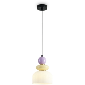FR5595PL-01B