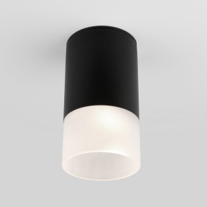 Потолочный светильник уличный светодиодный Light LED 35139/H черный