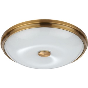 Настенно-потолочный светильник Odeon Light Pelow 4956/4